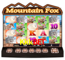 Bônus Generosos e Exclusivos no Kkk Slots para Você!